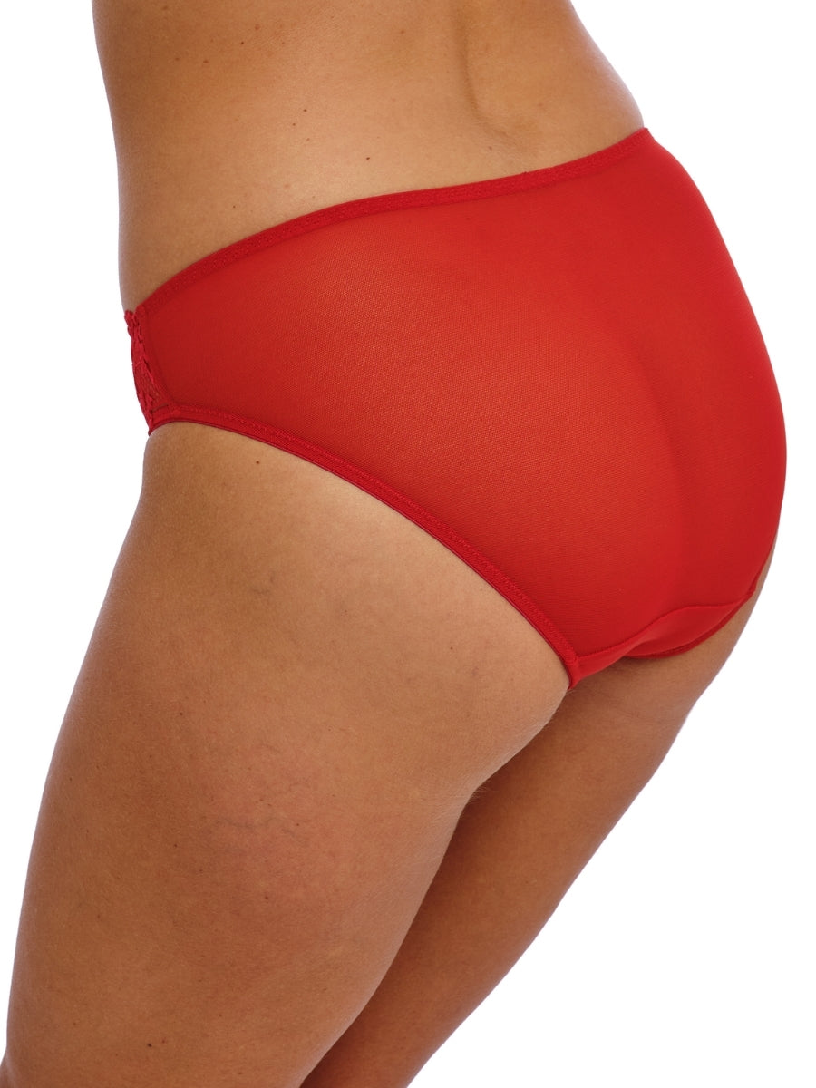 Embrace Lace Bikini Brief