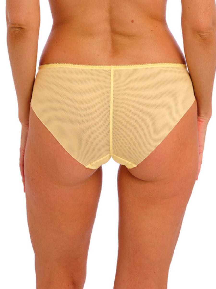 Lace Perfection Brief