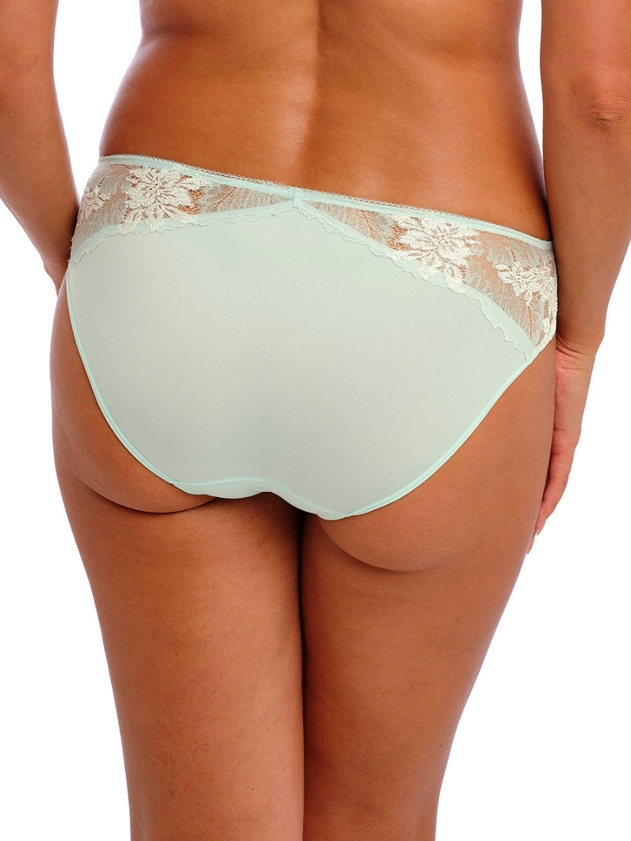 Most Divine Brief