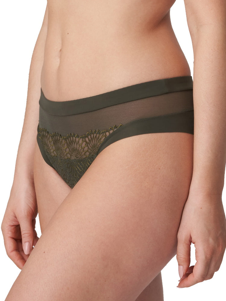Sophora Rio Brief