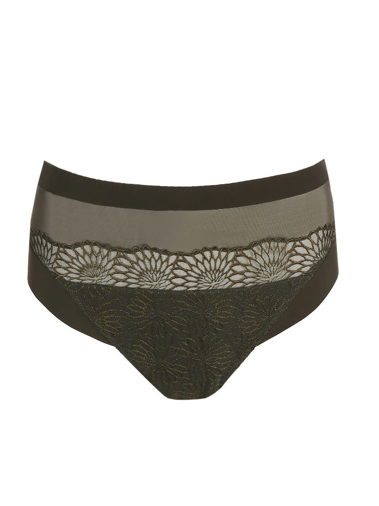 Sophora Full Brief