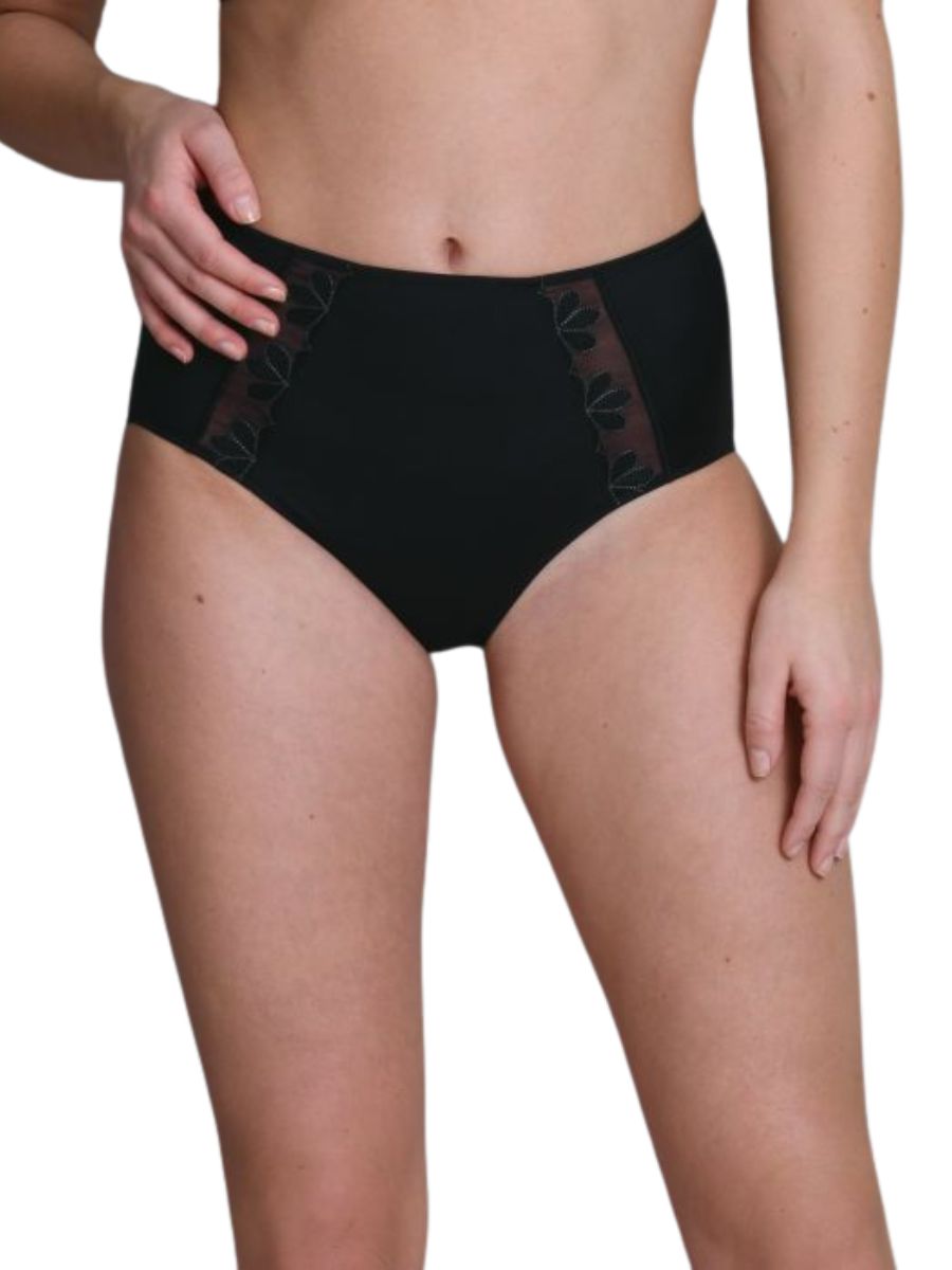 Anita Sophia High-Waist Briefs