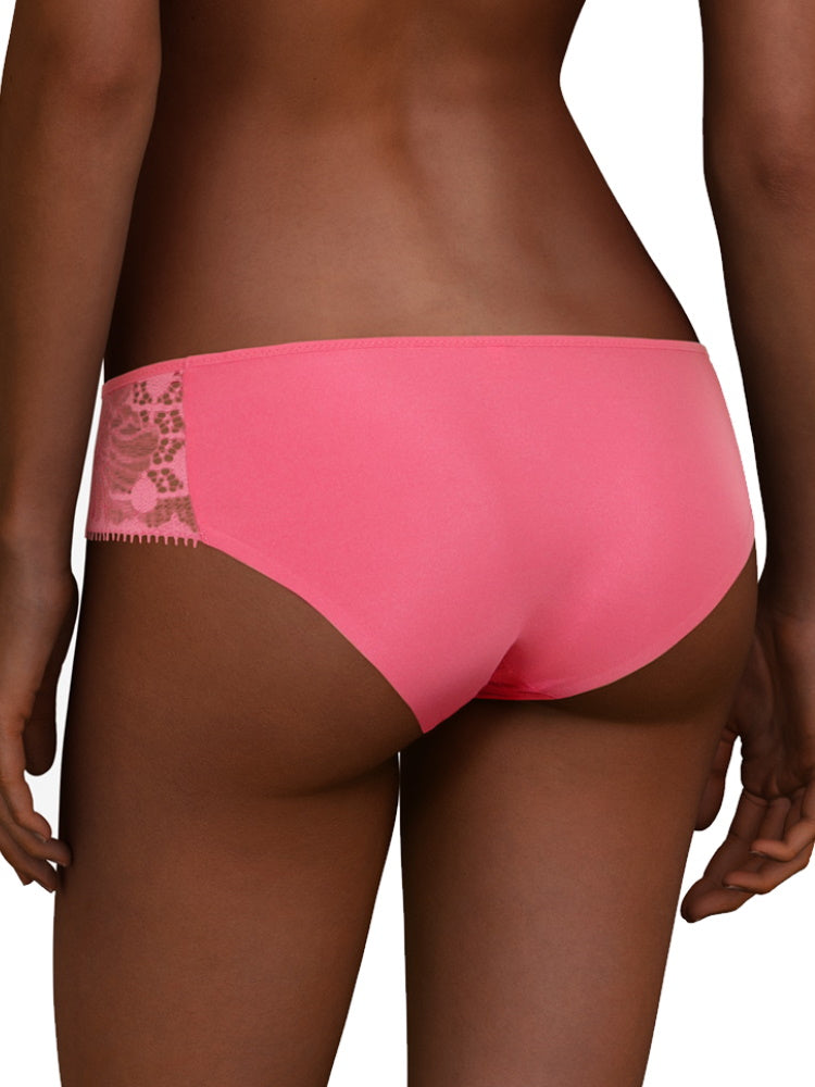 chantelle day to night brief