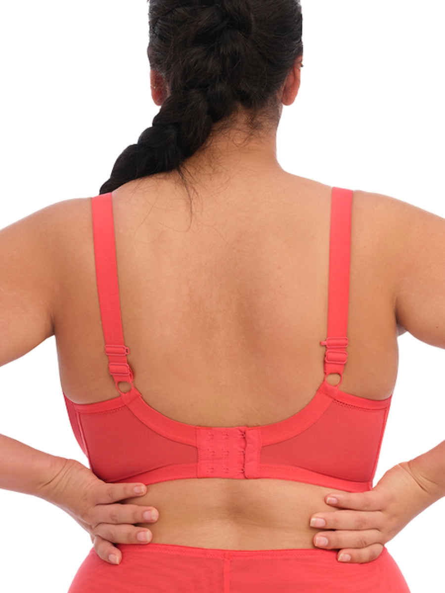 elomi bijou moulded banded bra cayenne