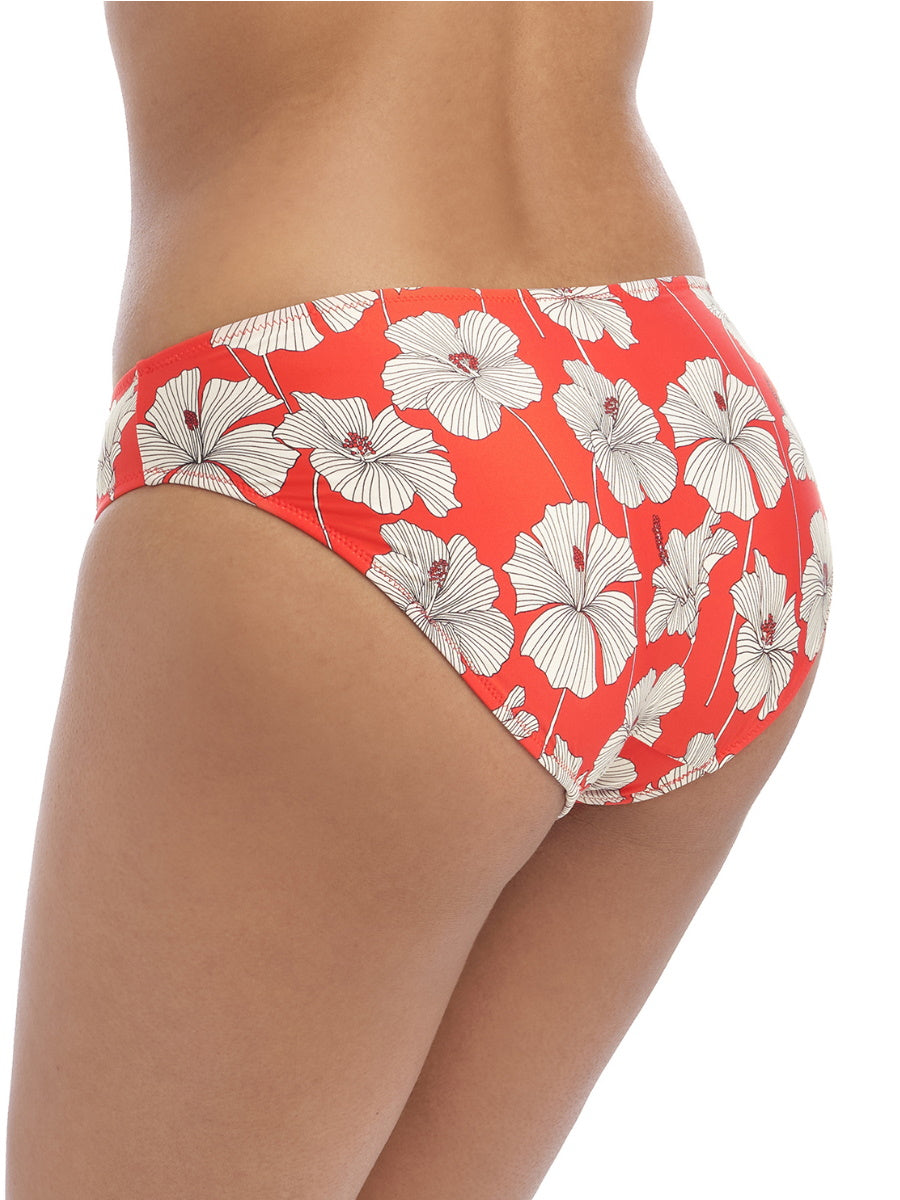 Freya Bikini Brief