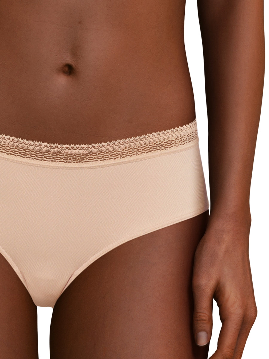 passionata dream today shorty