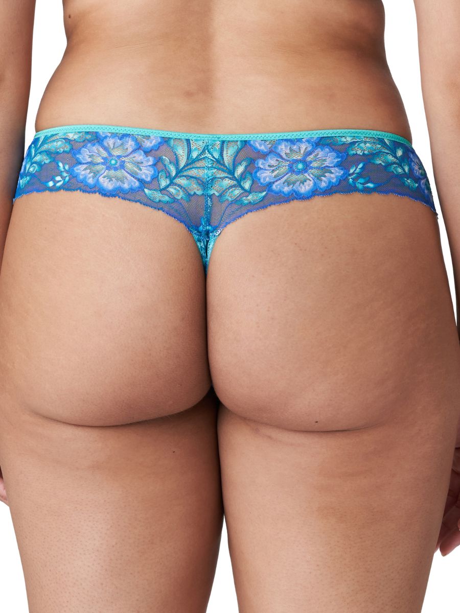 primadonna twist morro bay brief