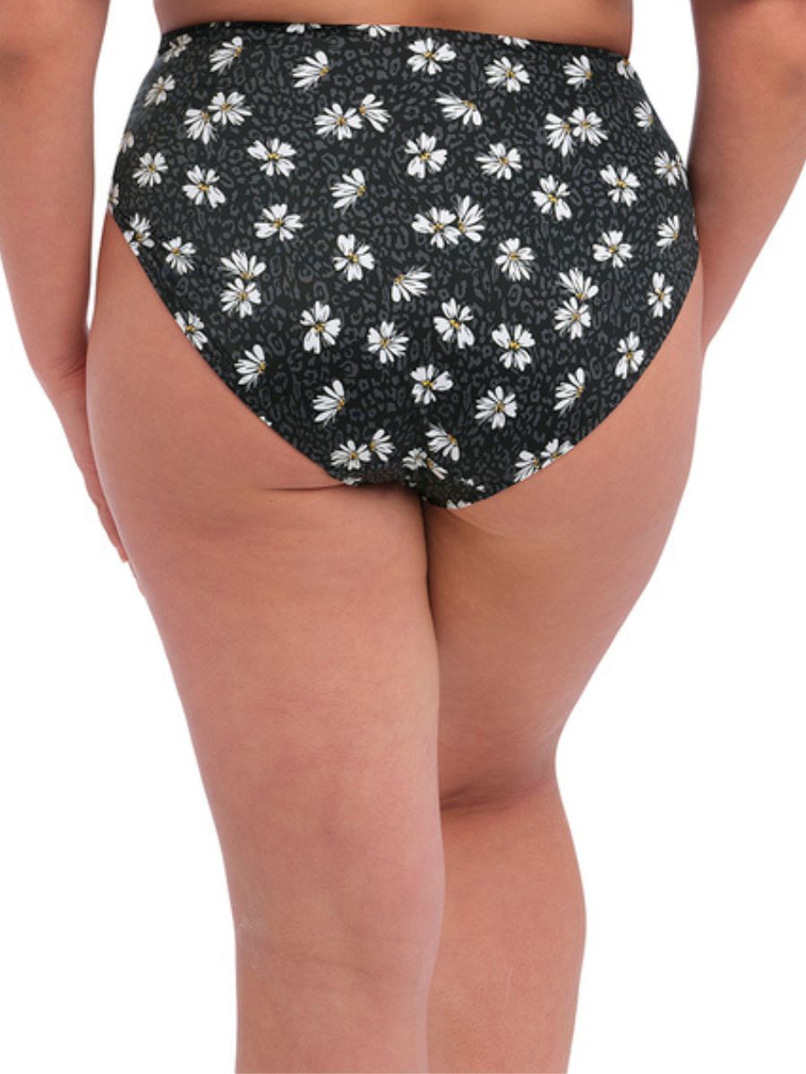 elomi plain sailing bikini brief