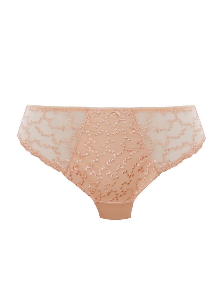 fantasie ana brief