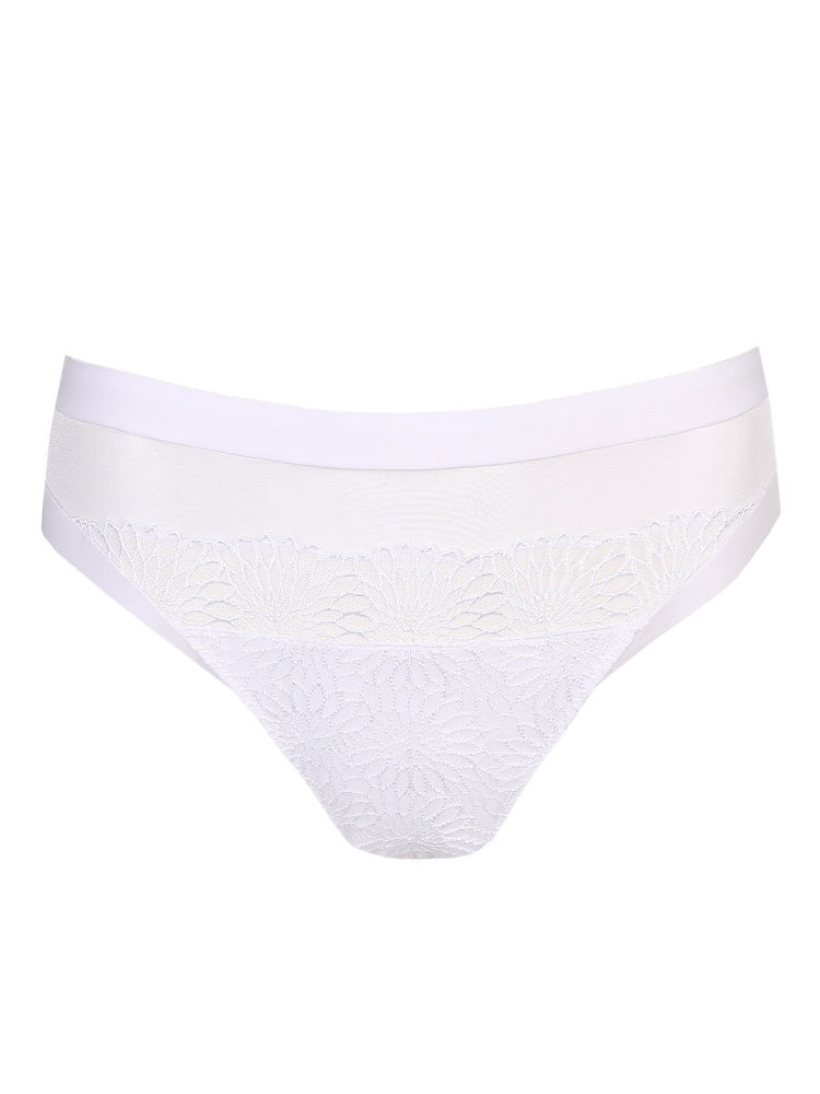 Sophora Rio Brief