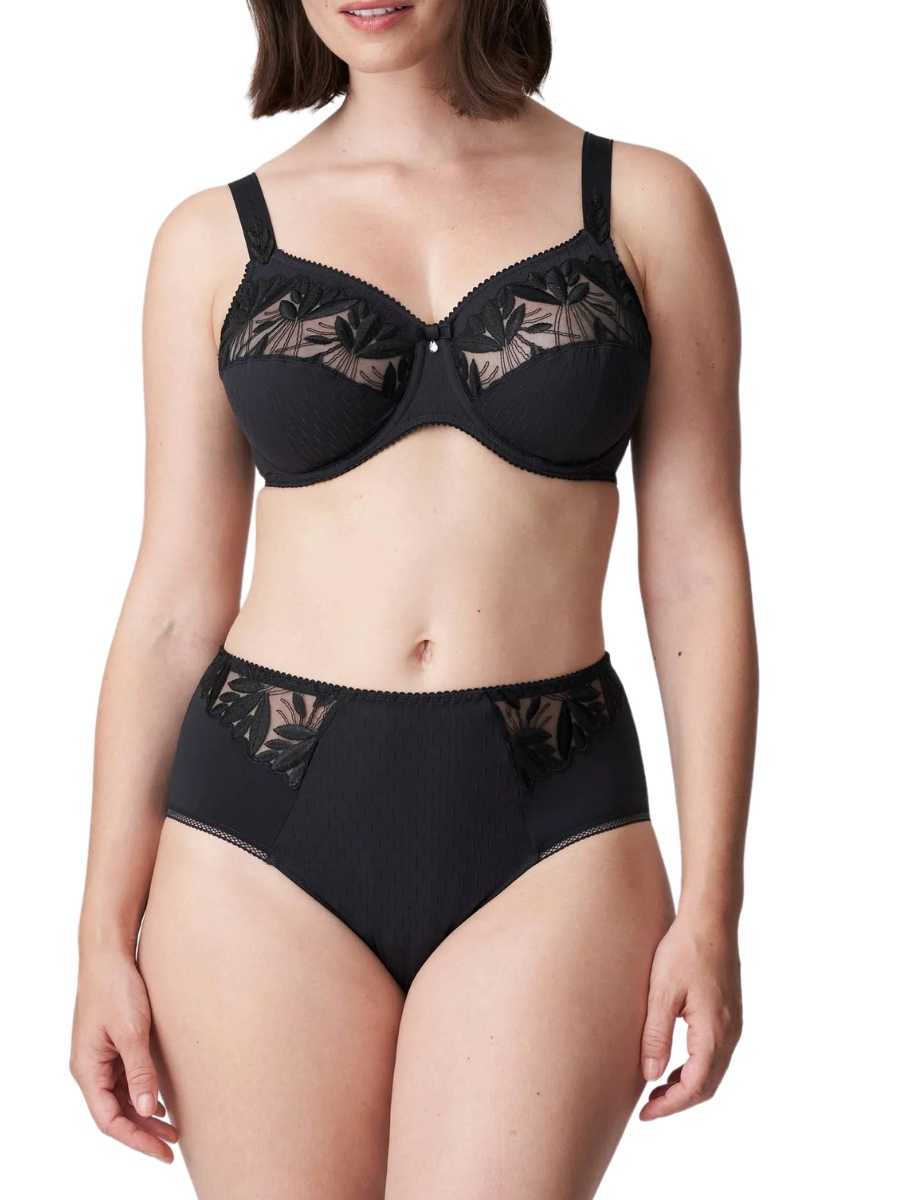 prima donna orlando full brief