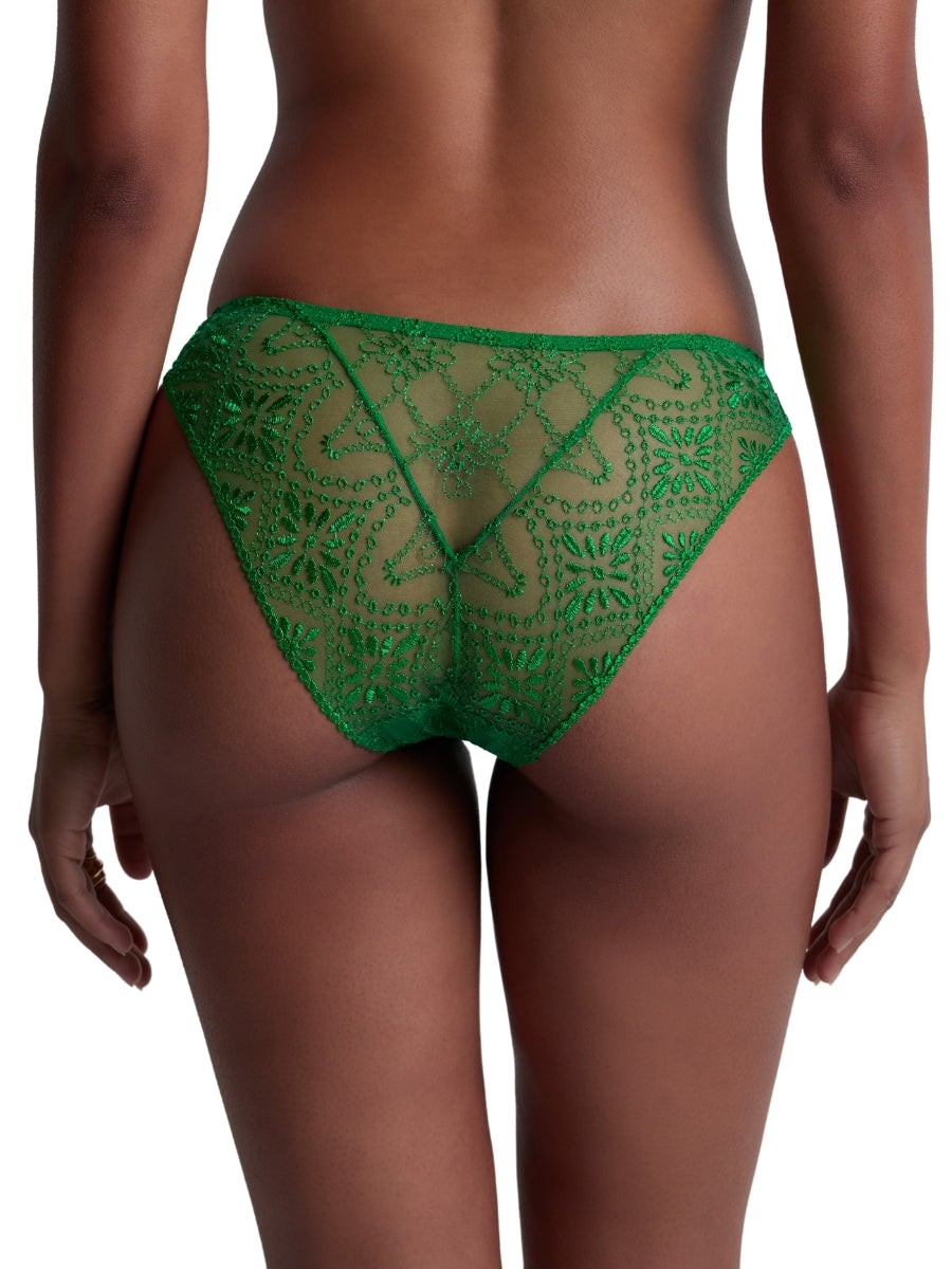 Losing My Mind Mini Brief