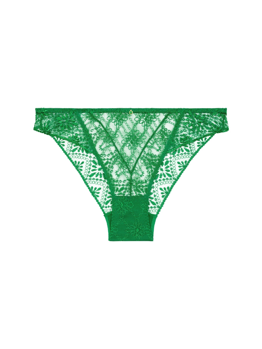 Losing My Mind Mini Brief