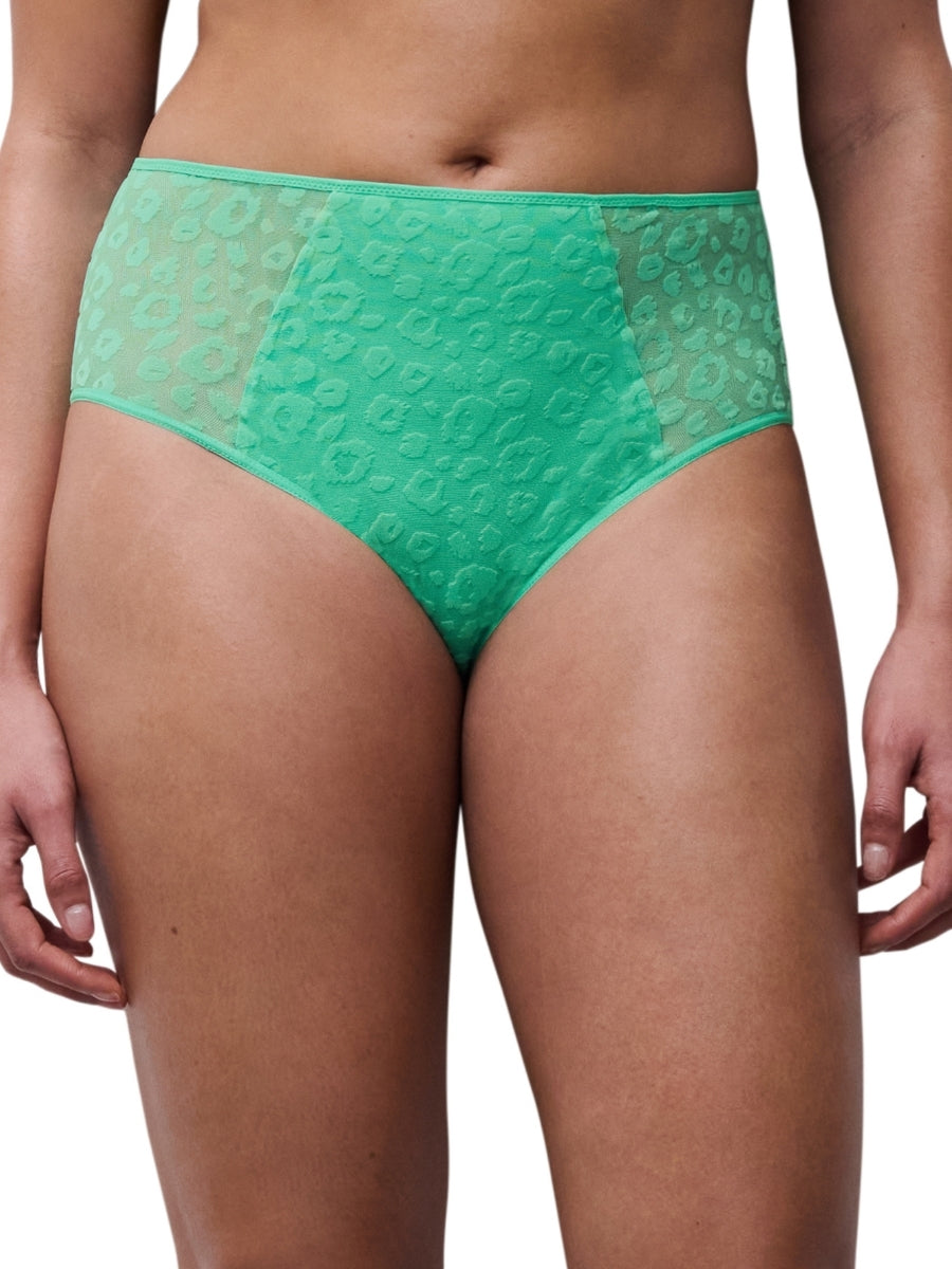 Girls High Waist Brief