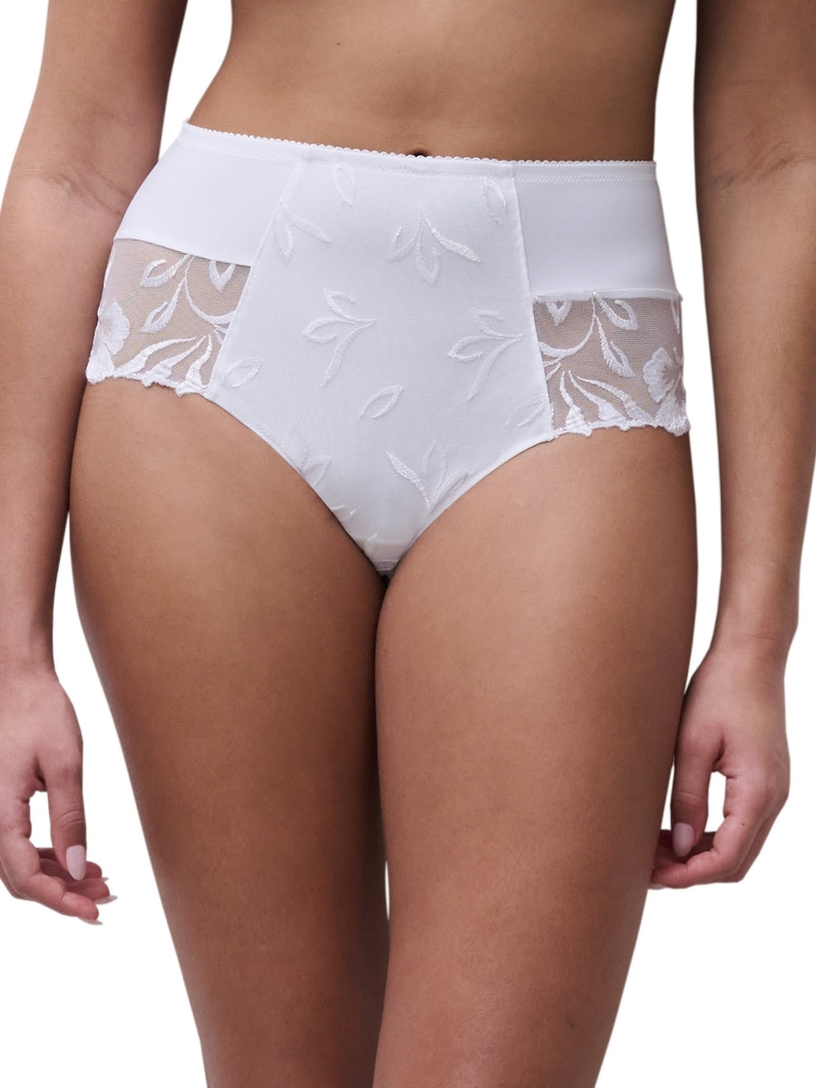 Majestic High Waist Brief