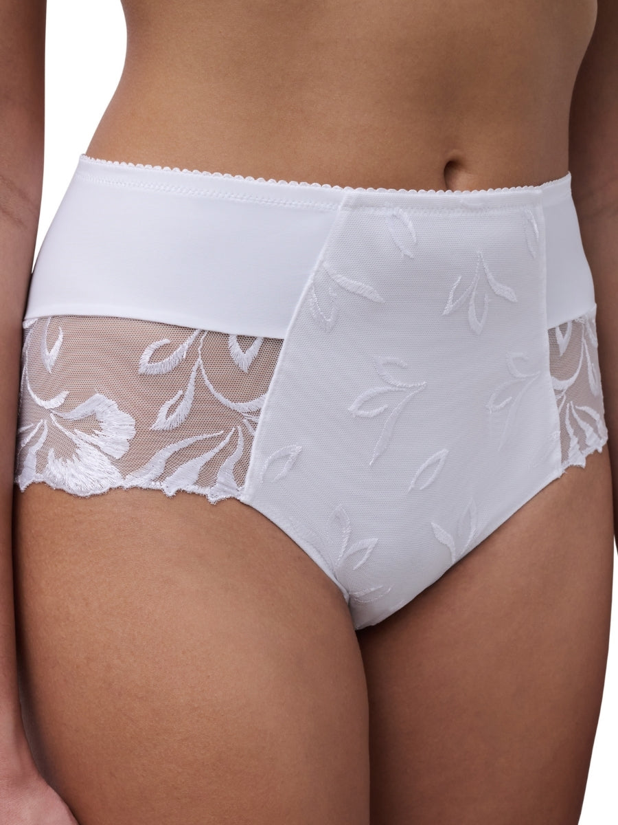 Majestic High Waist Brief