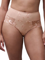 Majestic High Waist Brief