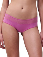 Norah Chic Covering Shorty