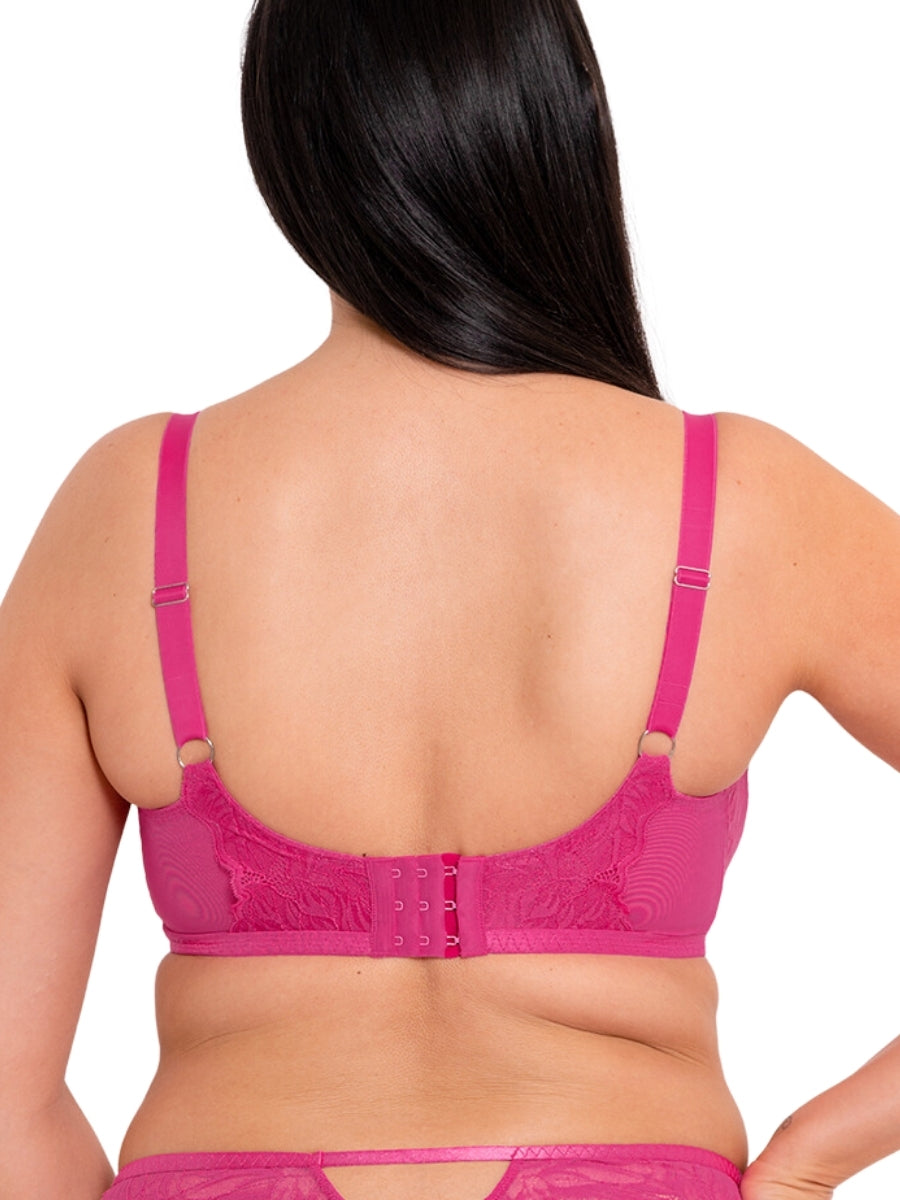 Lace Daze Balcony Bra - Lipstick Pink