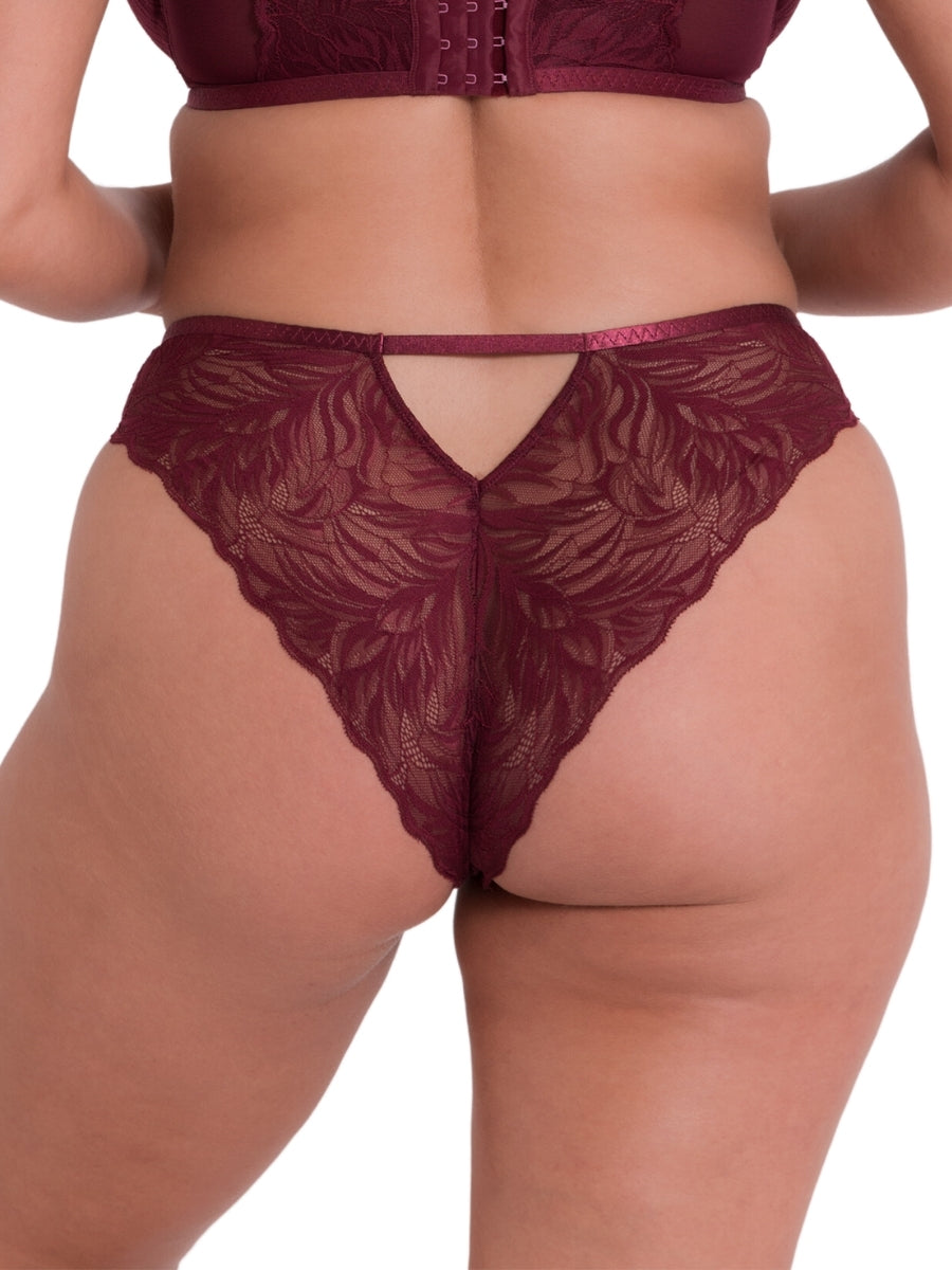 Lace Daze Brazilian