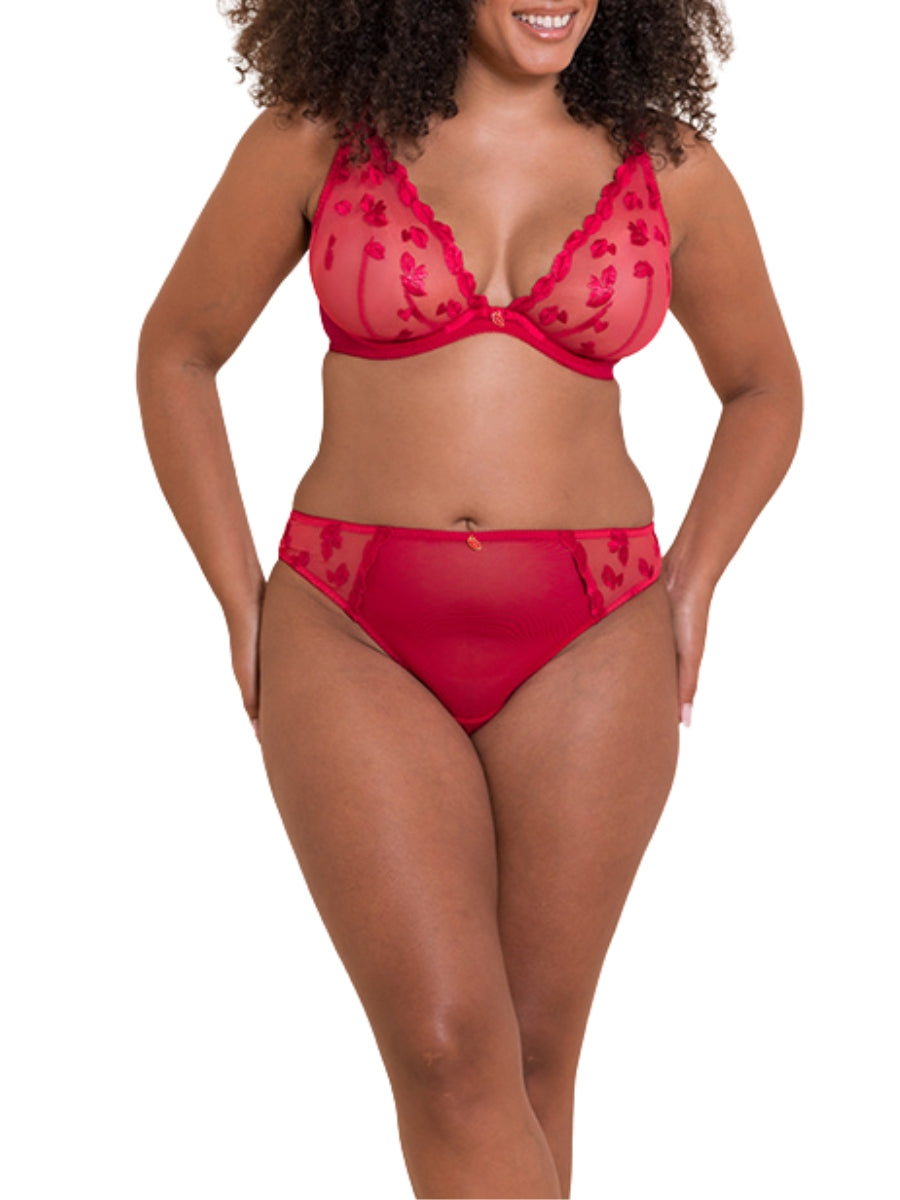 Pucker Up Deep Plunge Bra - Lipstick Red