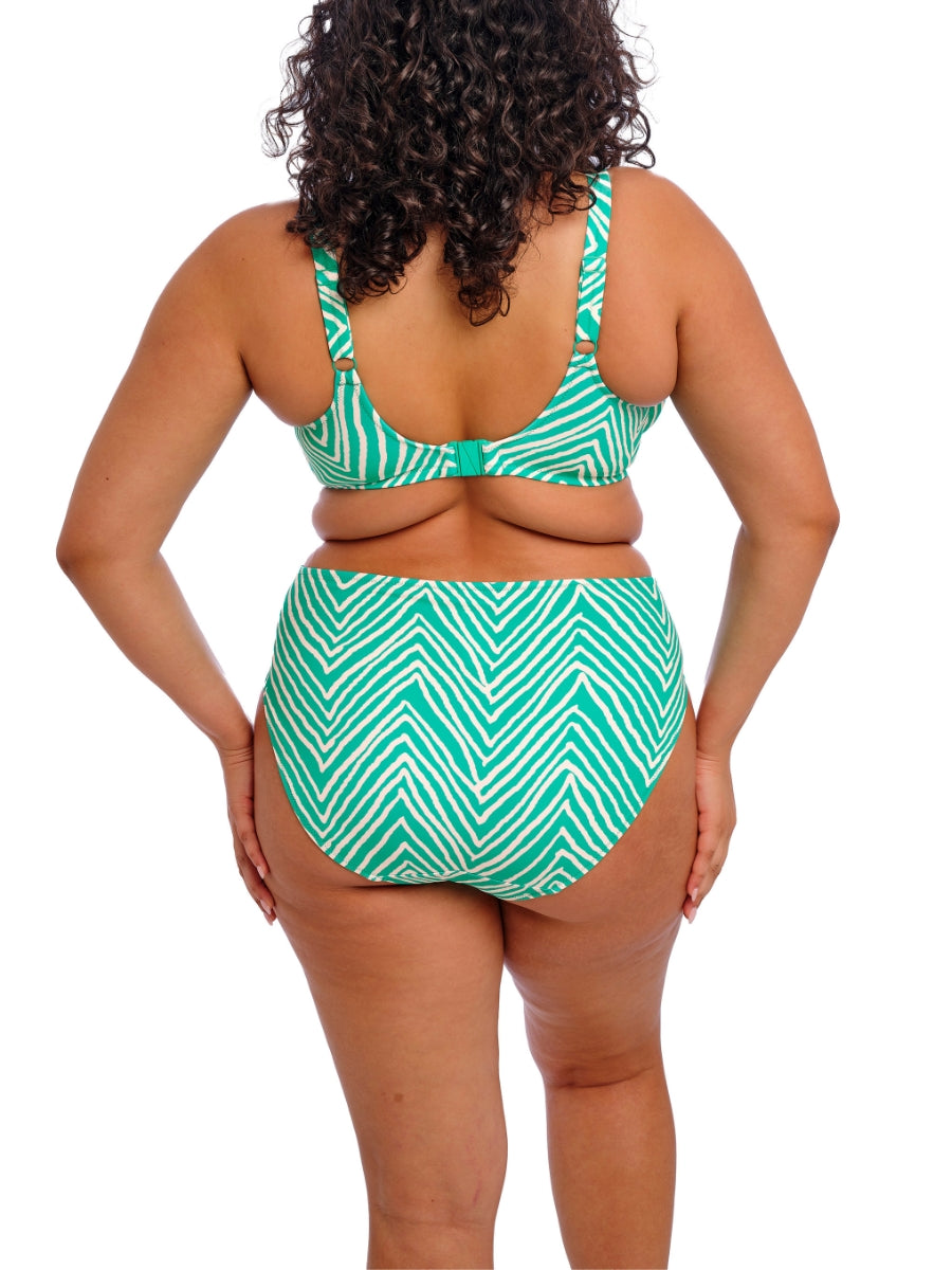 Fiji Falls Bikini Brief