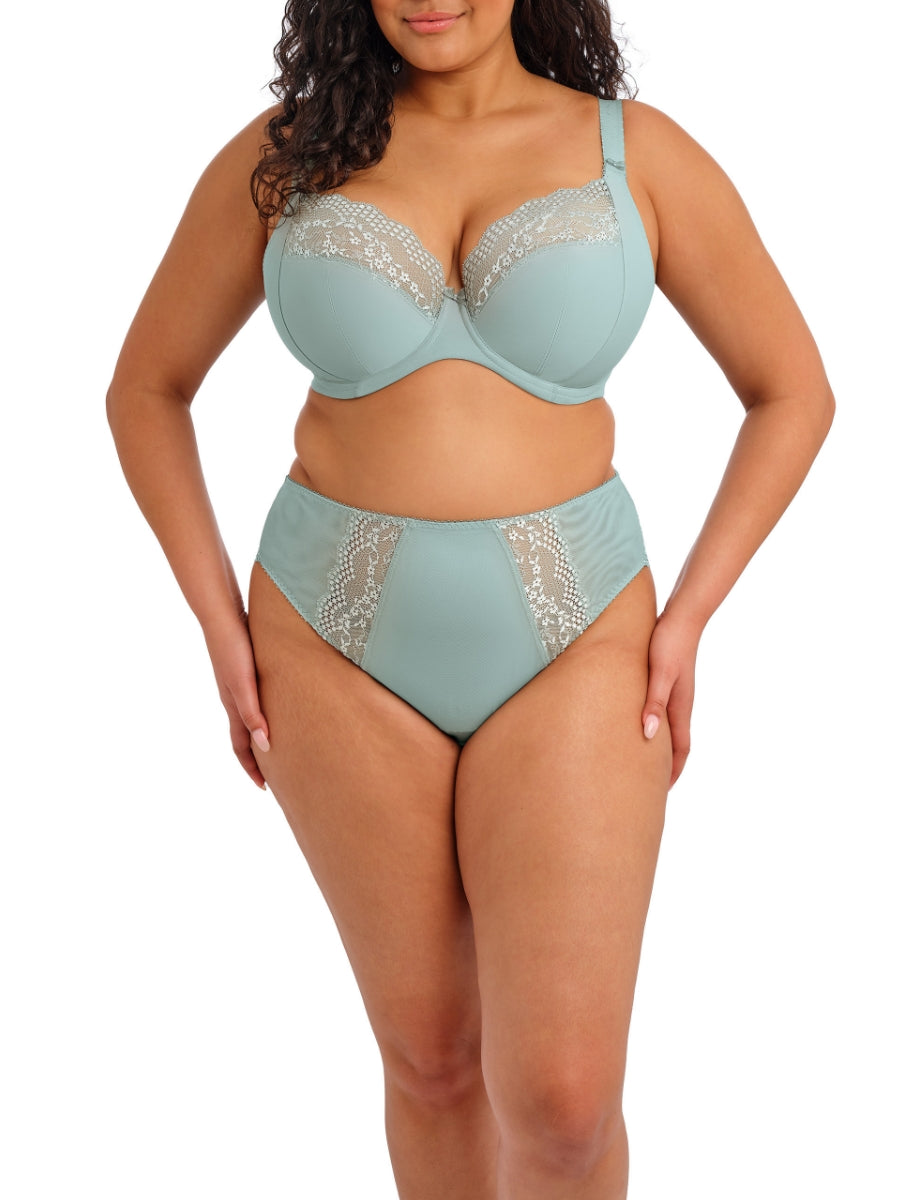 Lucie High Leg Brief