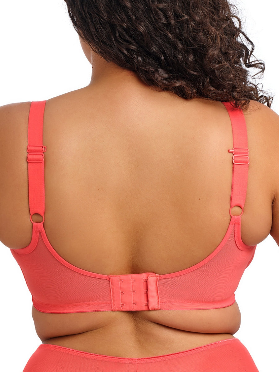 Matilda Plunge Bra - Sunset