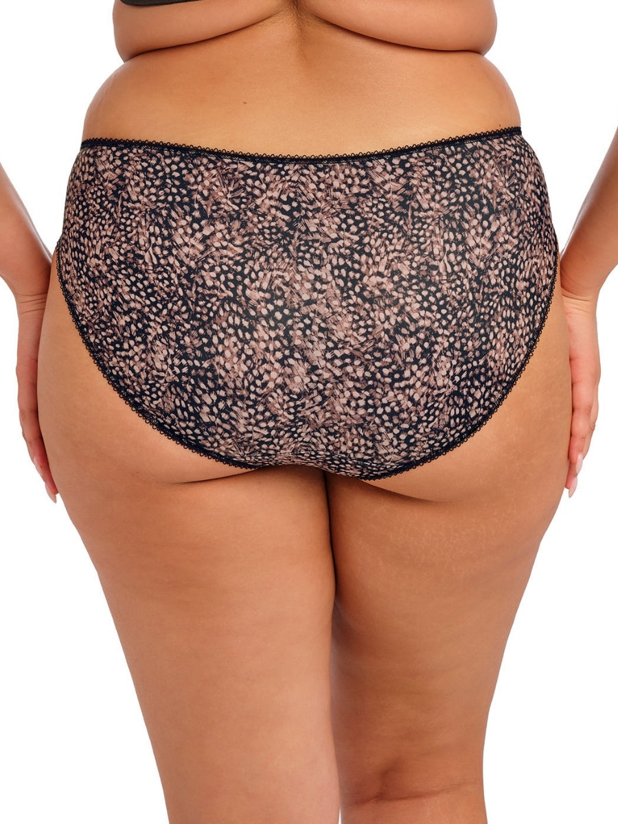 Morgan Brief