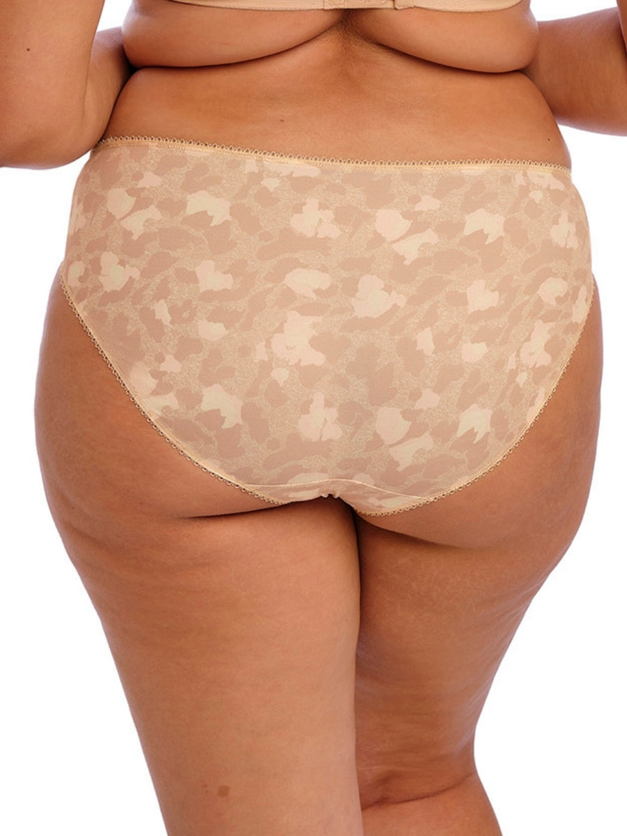 Morgan Brief