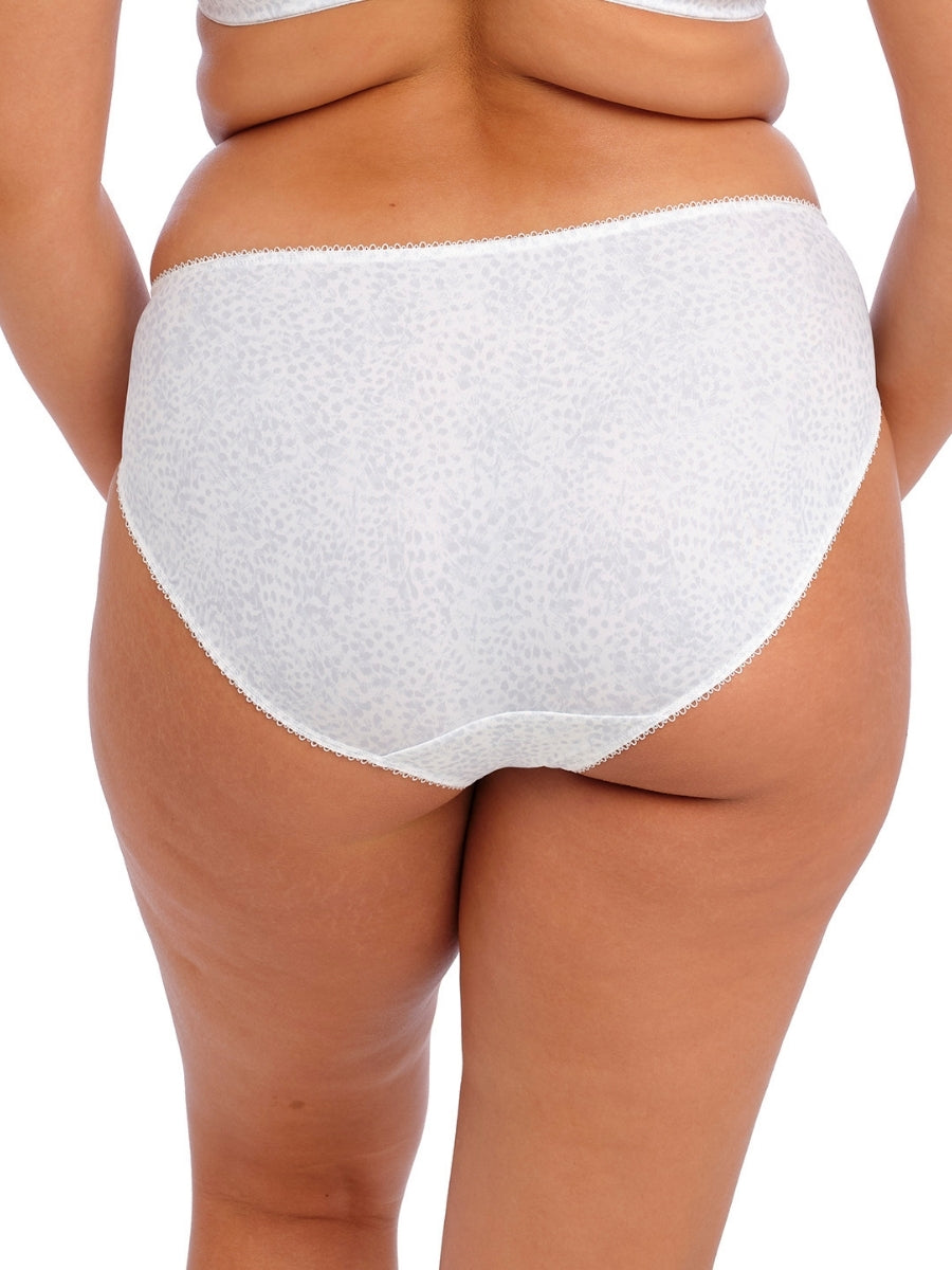 Morgan Brief