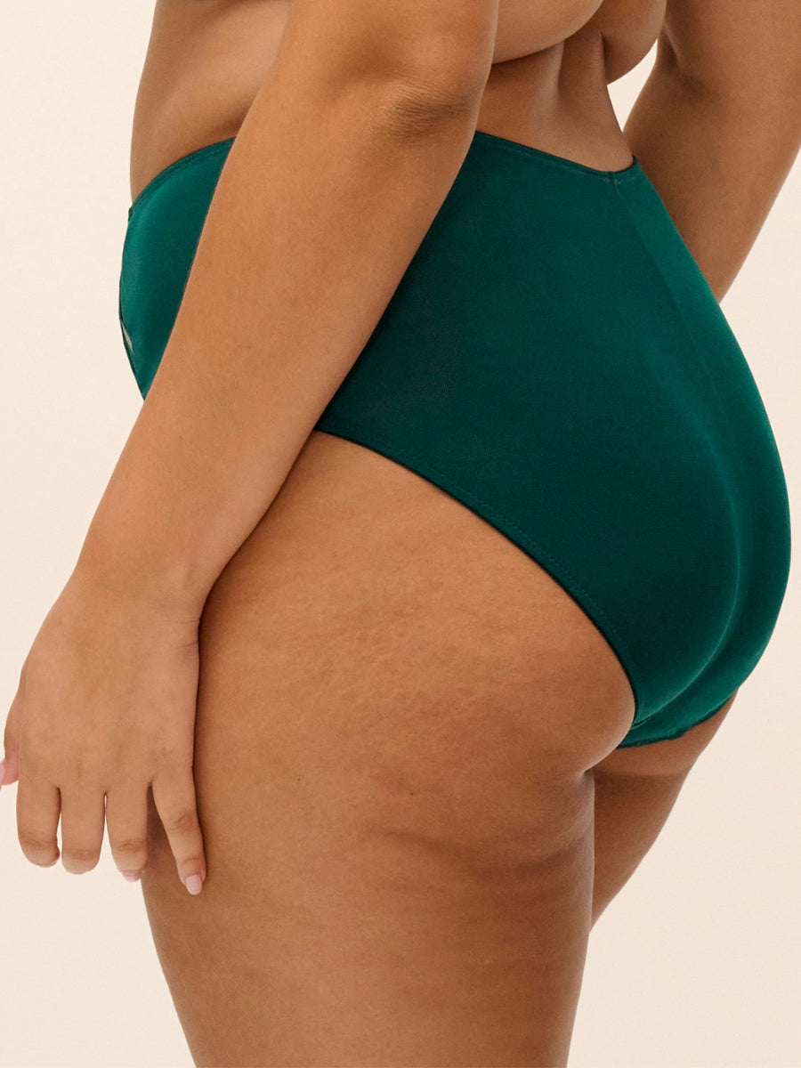 Sachi Full Brief