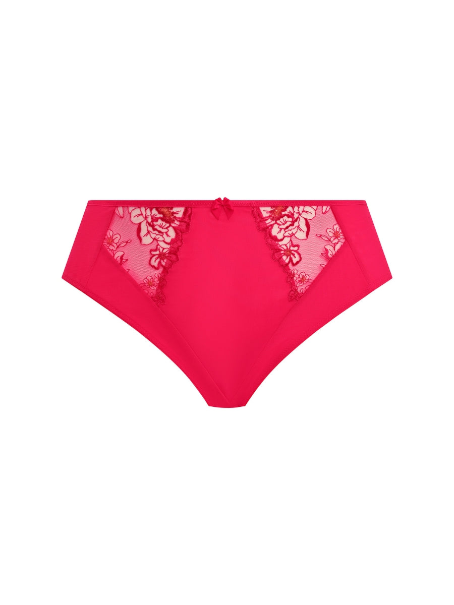 Teagan High Leg Brief