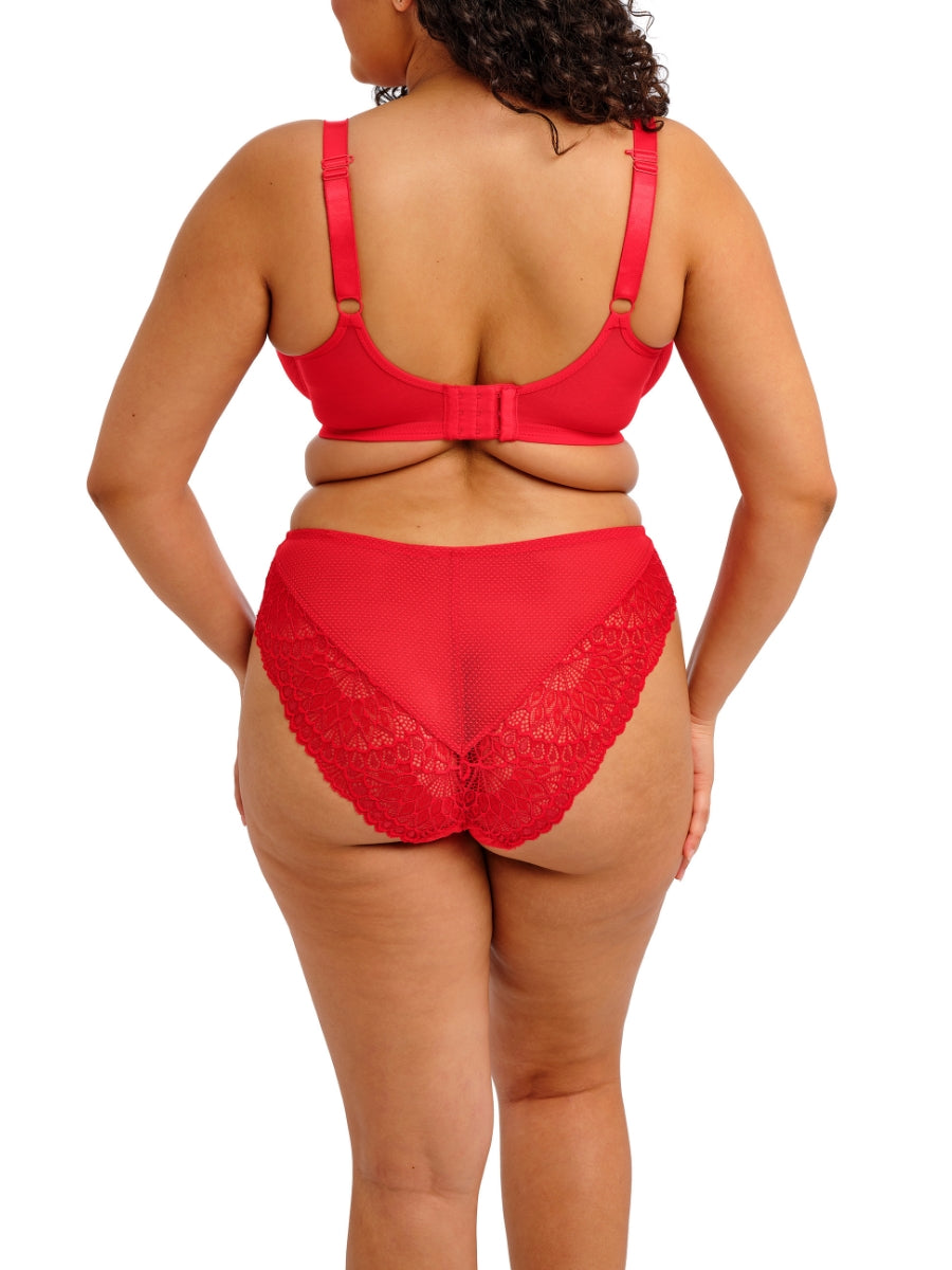 Tiernie Brief