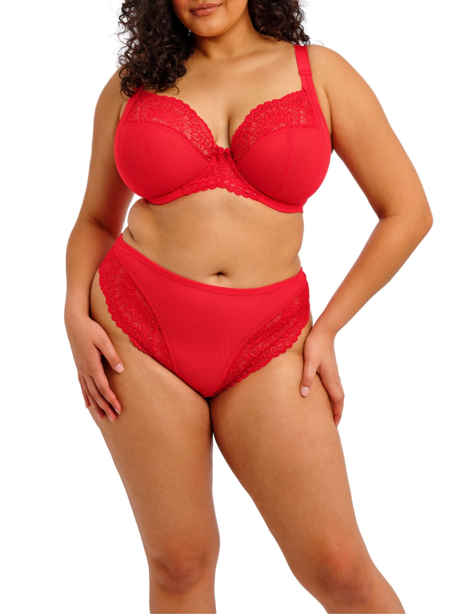 Tiernie Brief