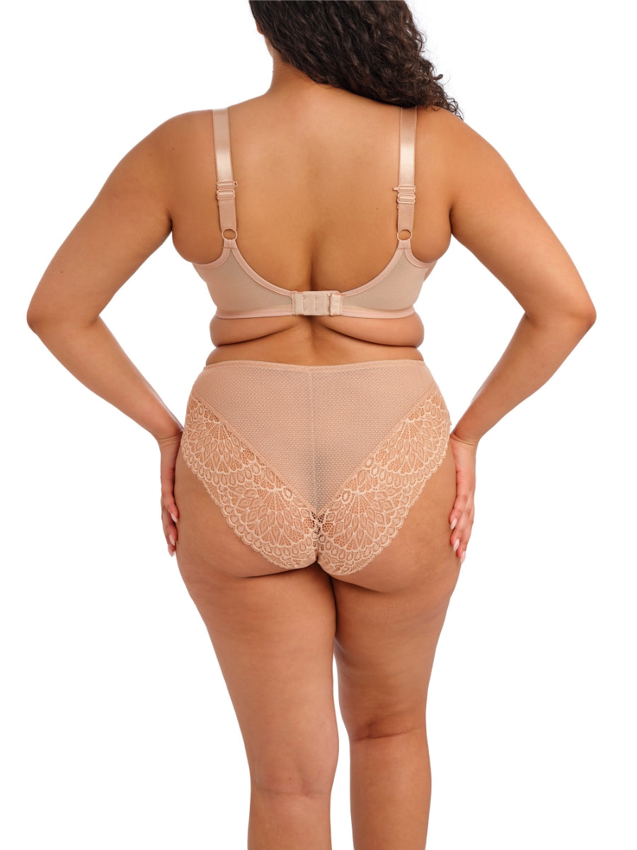 Tiernie Brief