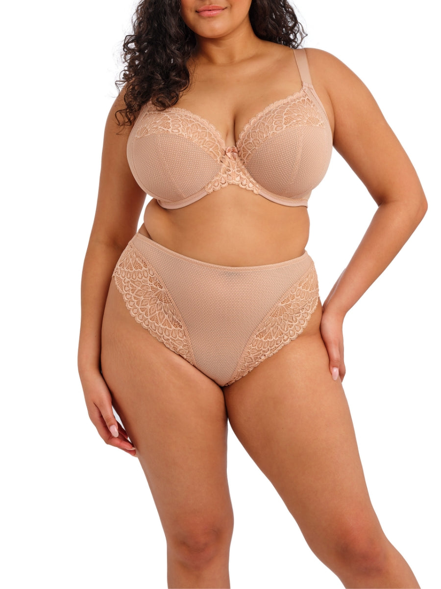 Tiernie Brief