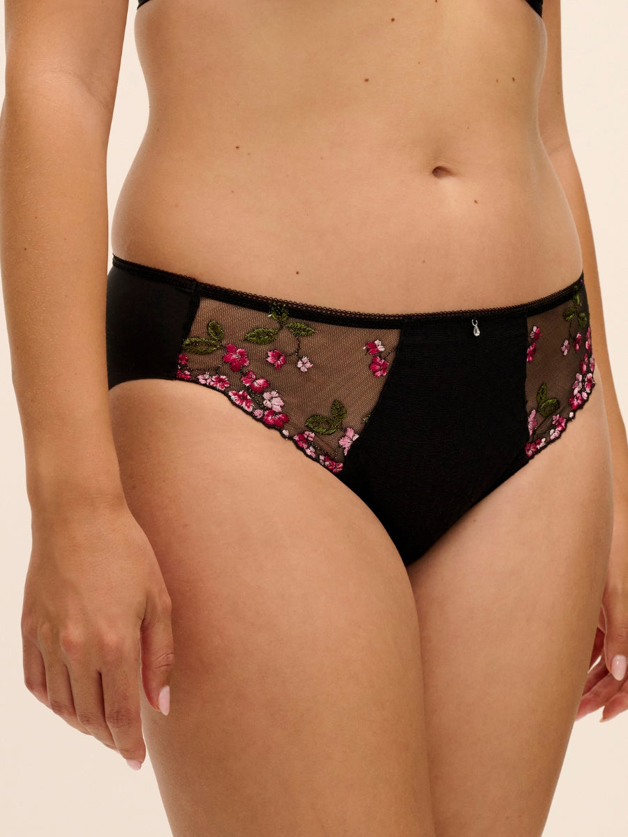 Eliyse Brief