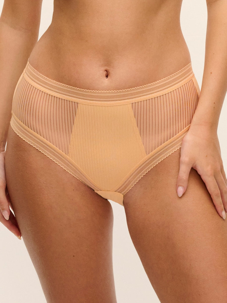 Fusion Brief