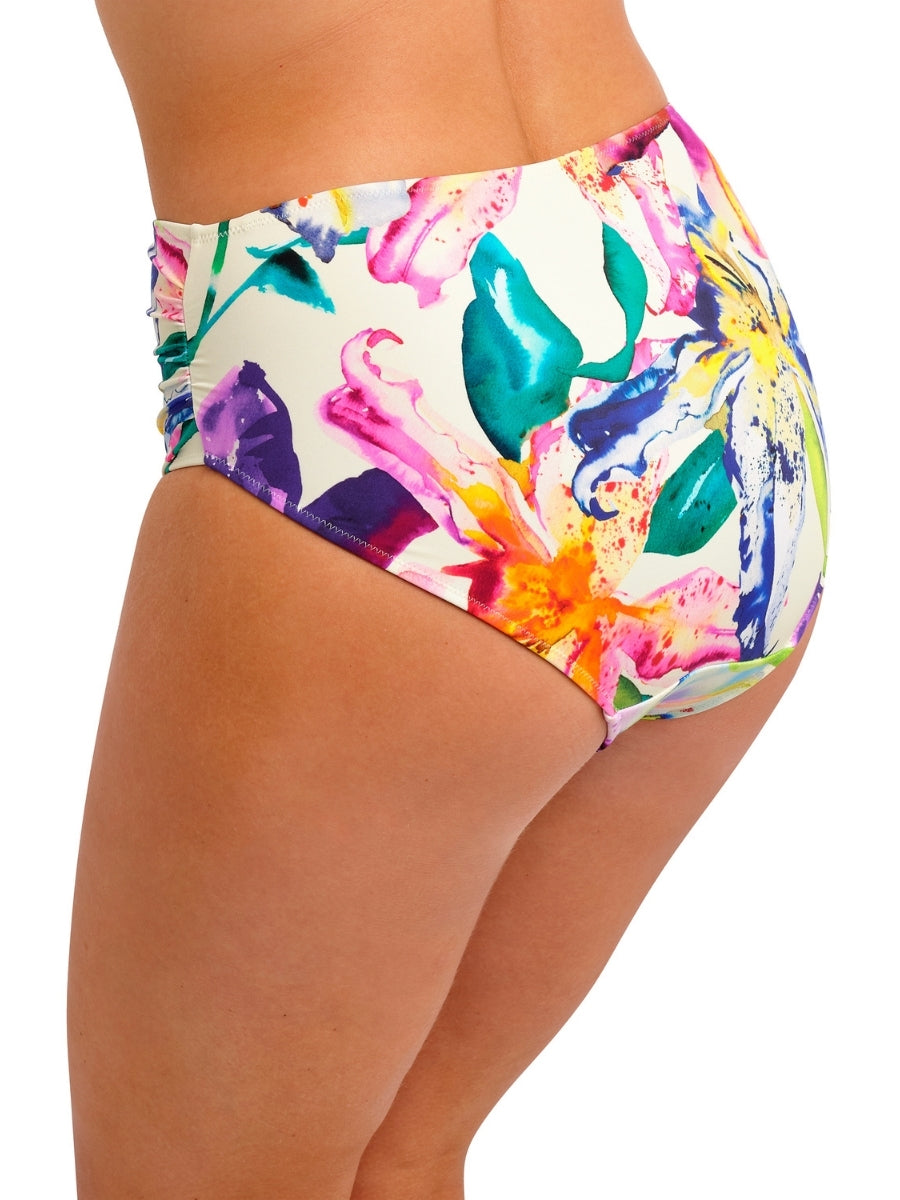 Iguazu Falls Full Bikini Brief