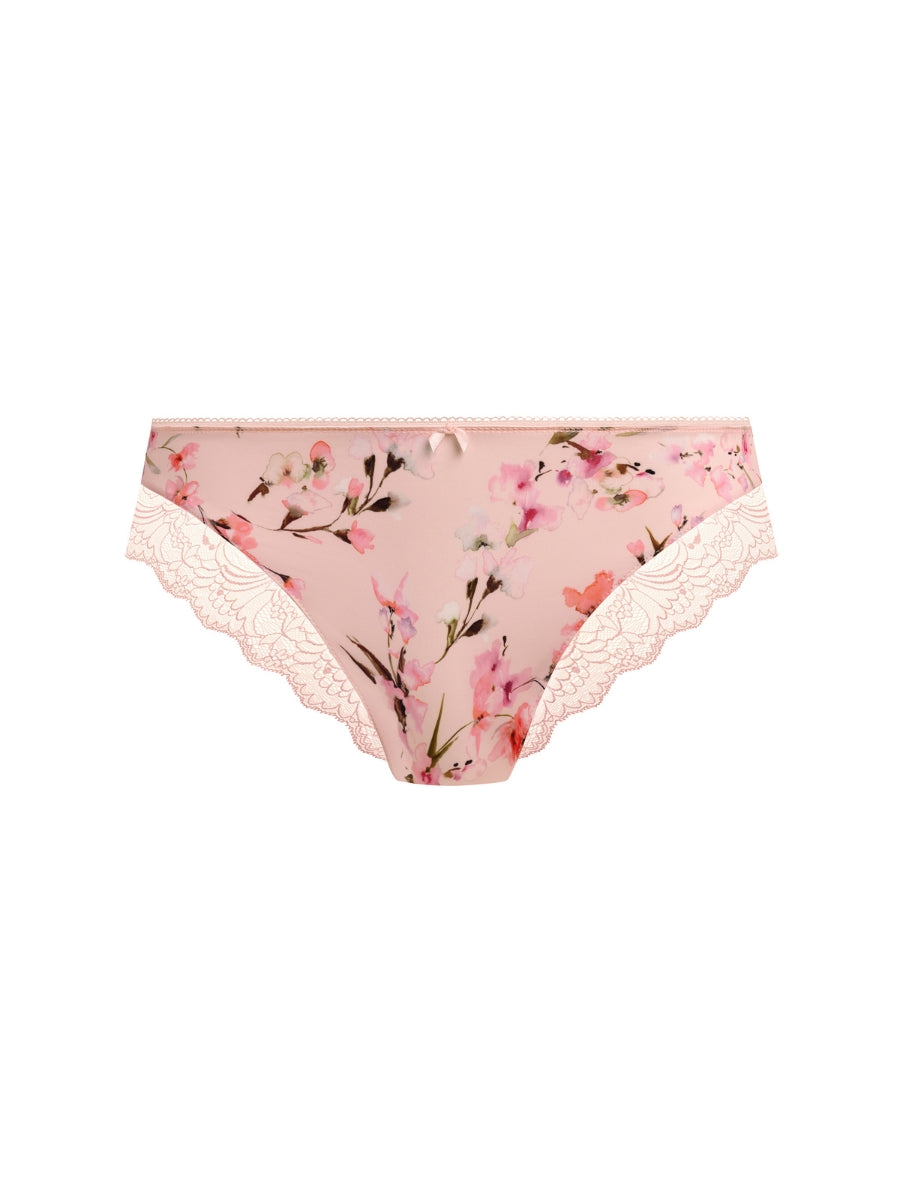 Lucia Brief