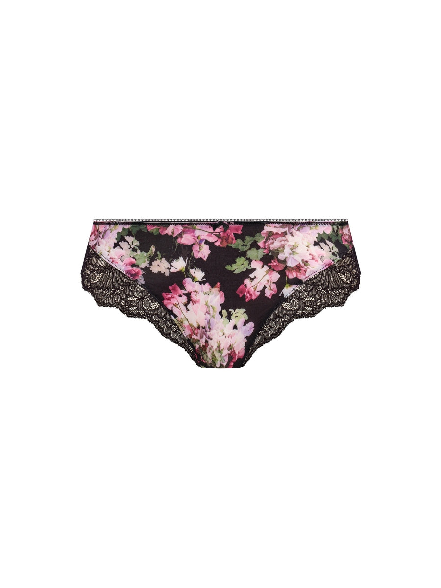 Lucia Brief