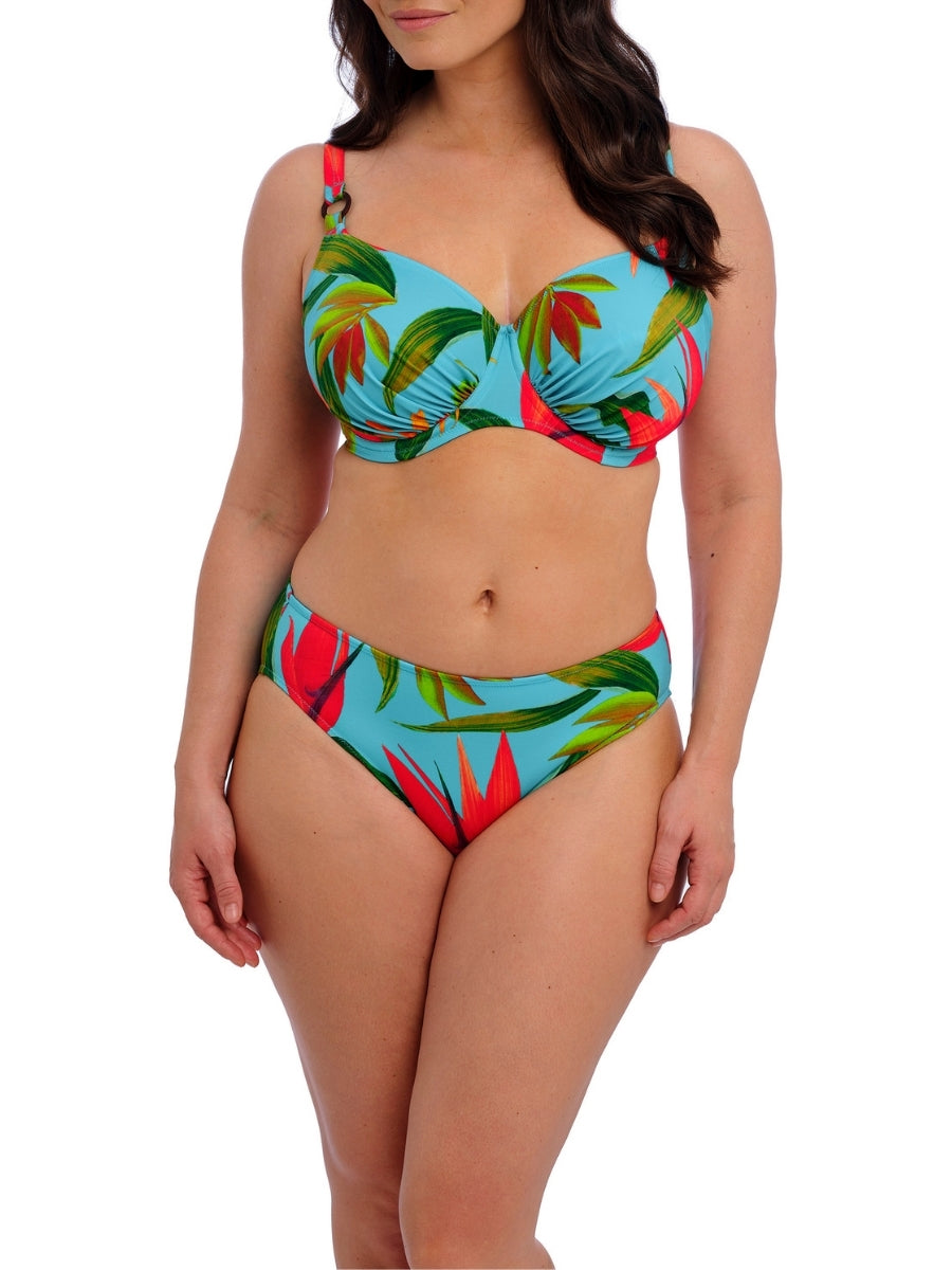 Pichola Bikini Brief