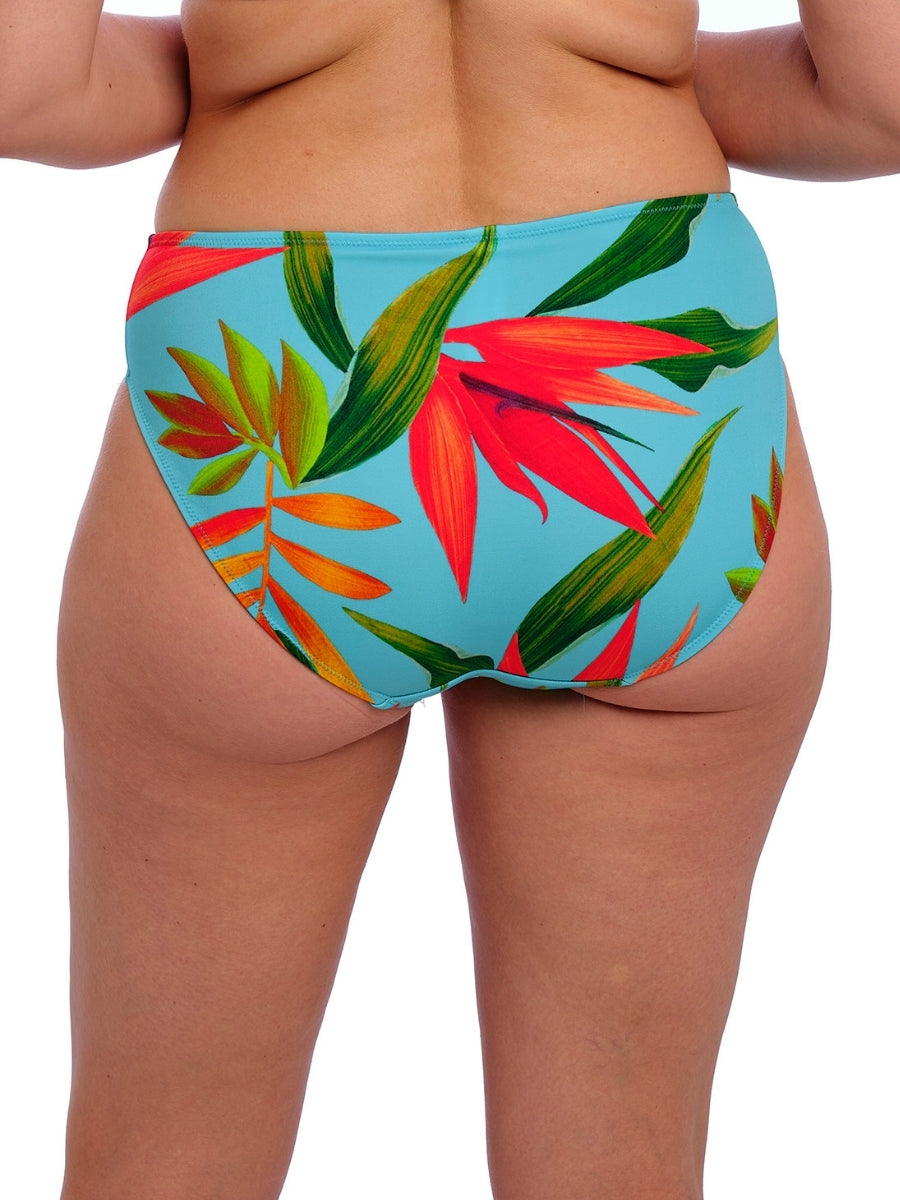 Pichola Bikini Brief