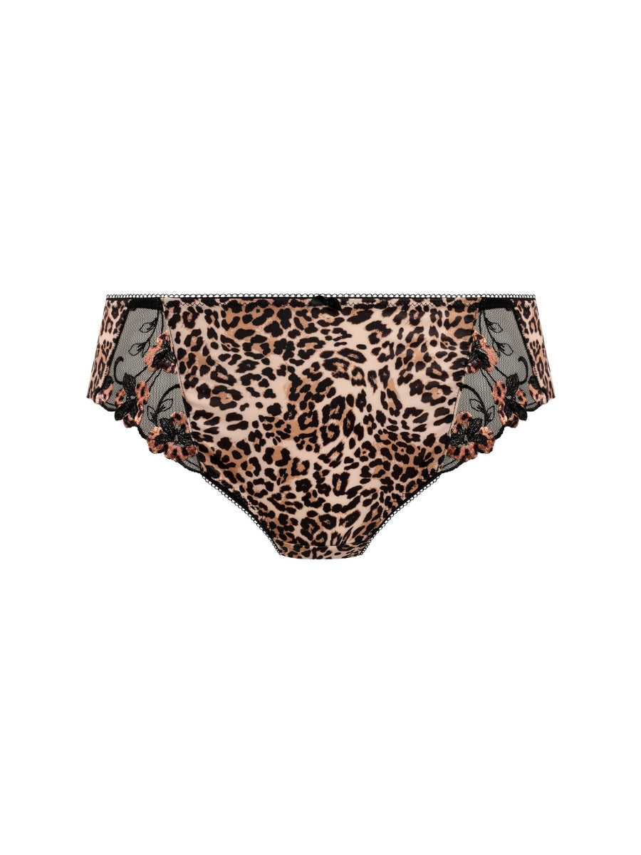 Talia Brief
