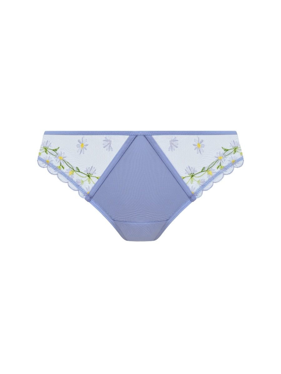 Entwined Brief