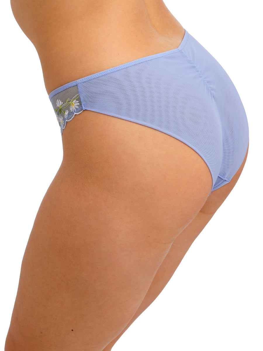 Entwined Brief