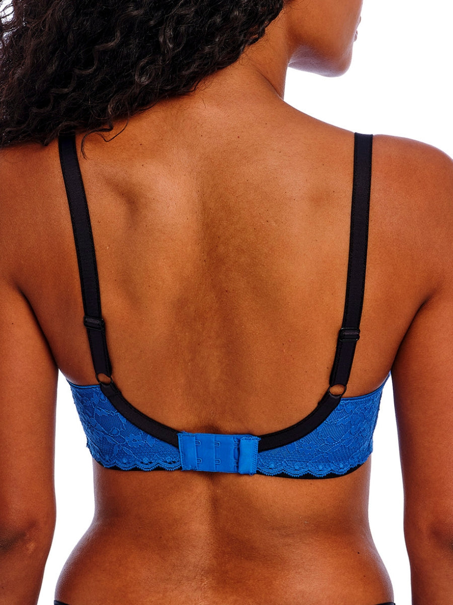 Offbeat Padded Half Cup Bra - Dazzling Blue
