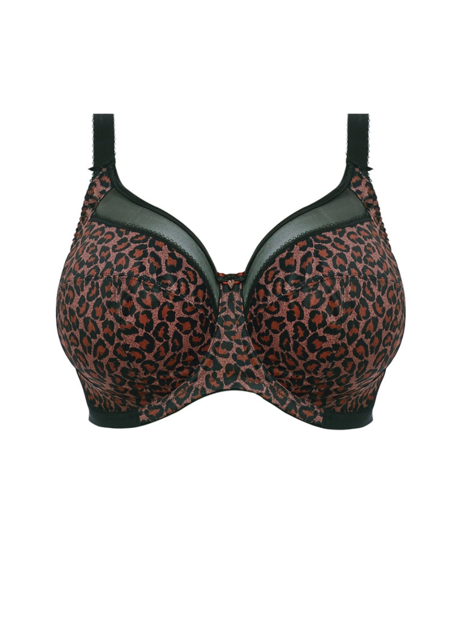 Kayla Banded Full Cup Bra - Dark Leopard