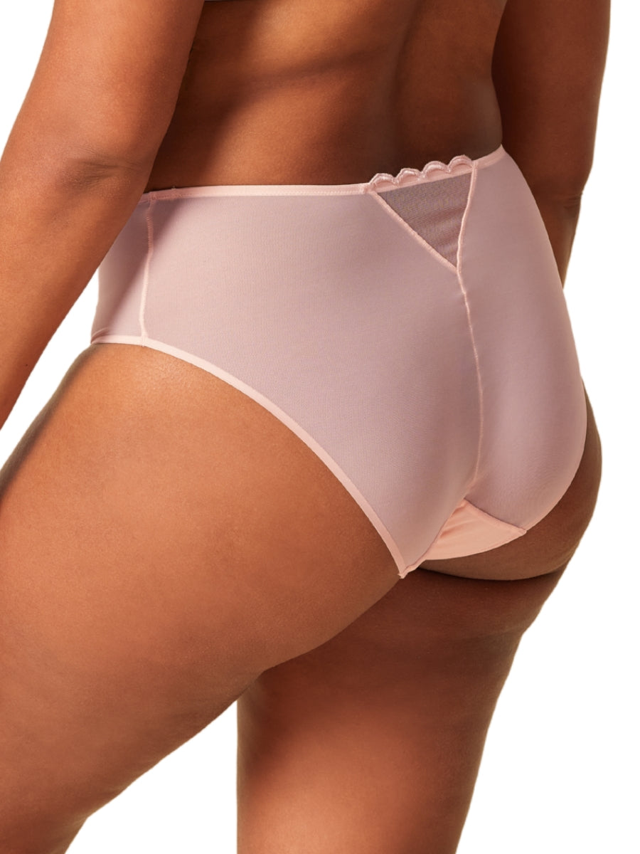 Obsession Deep Brief